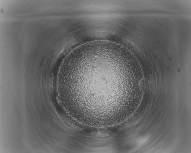 X0000058790739200510031045