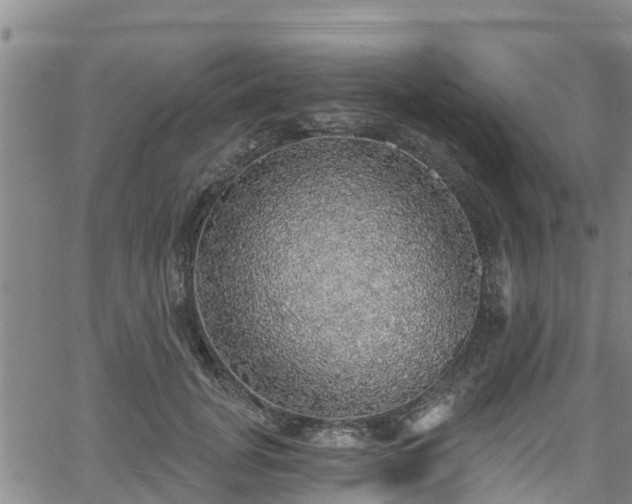 X0000058790751200510031046