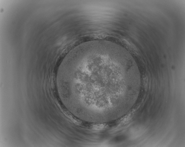 X0000058790757200510031046