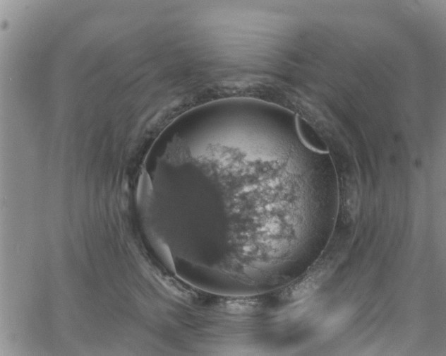 X0000058790758200510031046