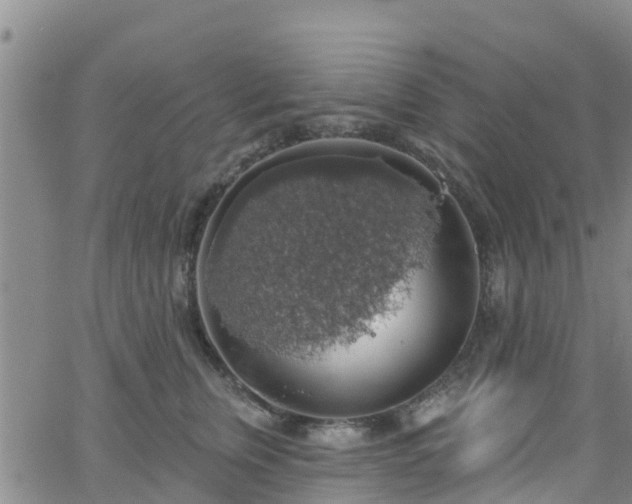 X0000058790759200510031046