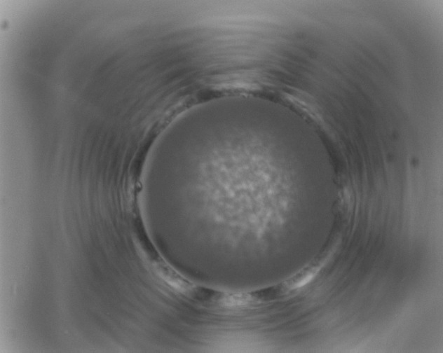 X0000058790767200510031046