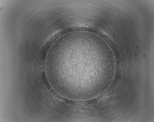 X0000058790870200510031043