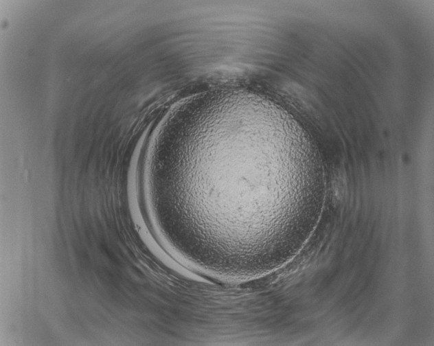 X0000058790964200510031042