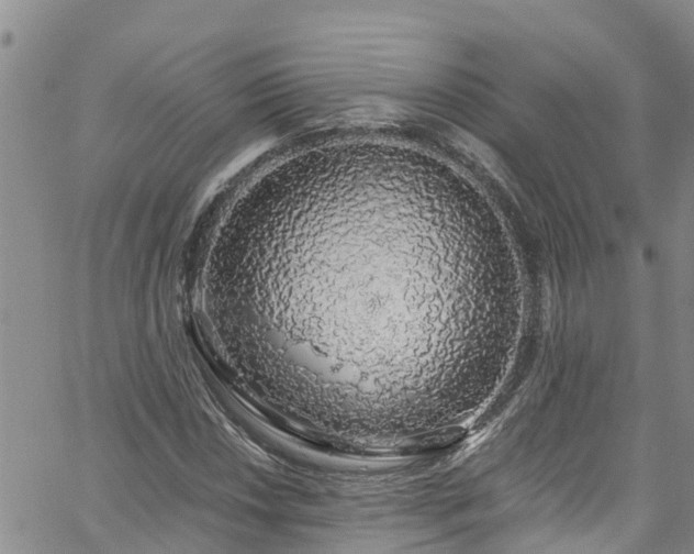 X0000058791018200510031040