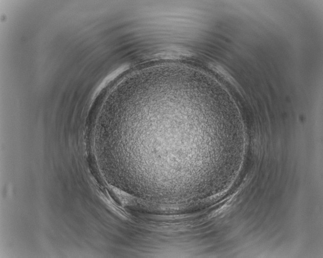 X0000058791026200510031040