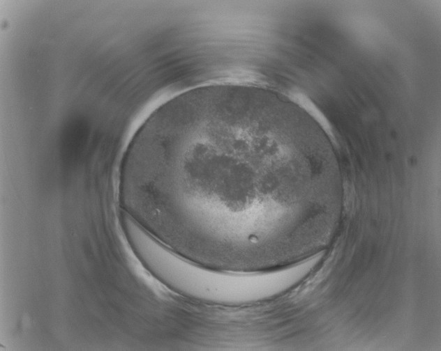 X0000058791099200510031039