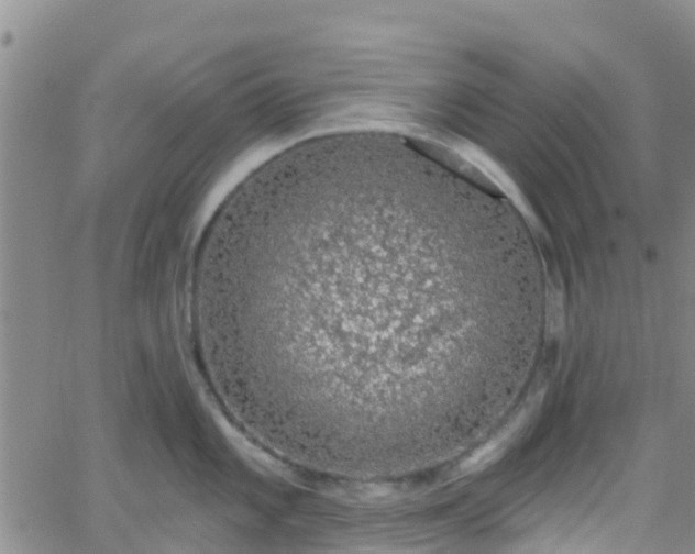 X0000058791101200510031039