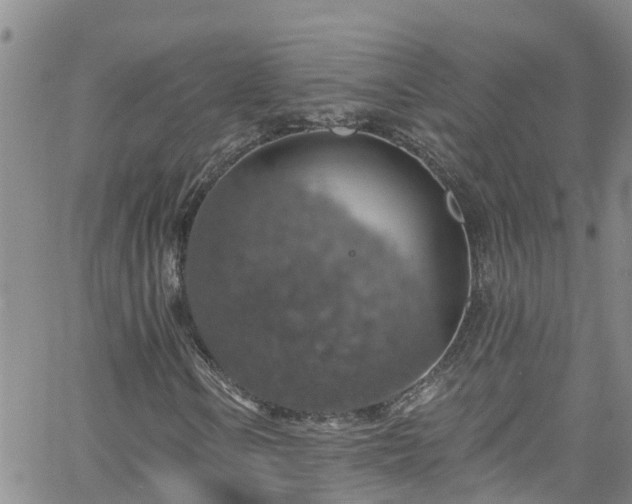 X0000058791106200510031039