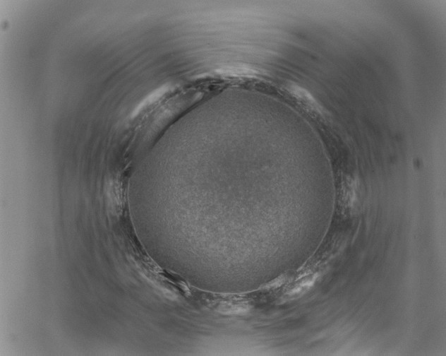 X0000058791110200510031039