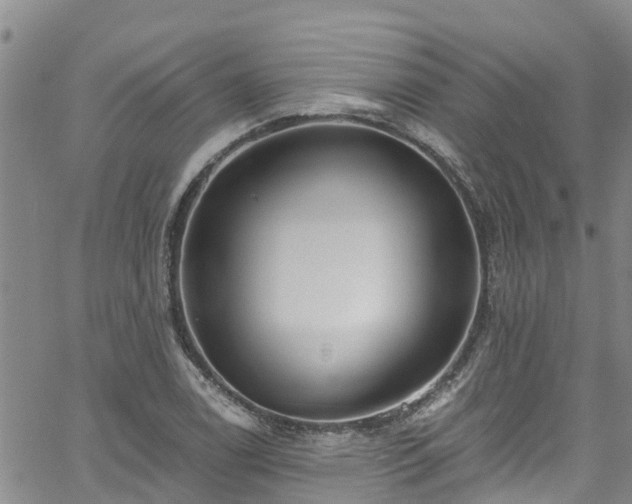 X0000058791122200510031039