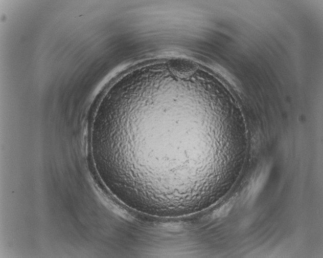 X0000058791126200510031039