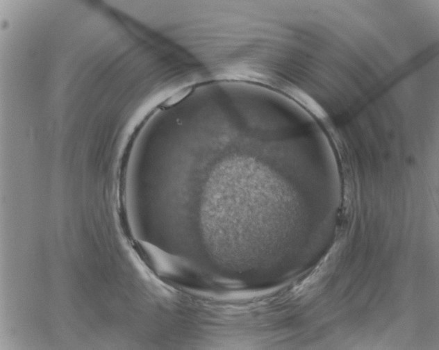 X0000058791144200510031039