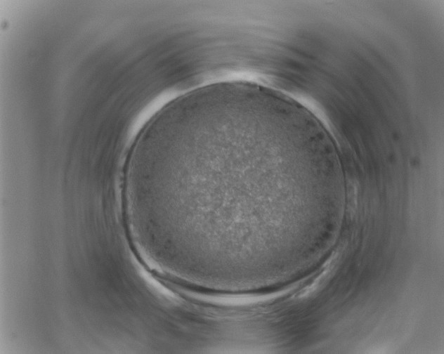 X0000058791151200510031039