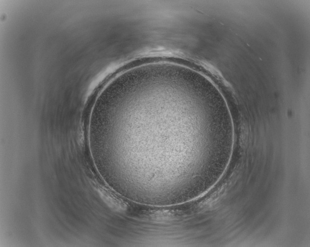 X0000058791167200510031038