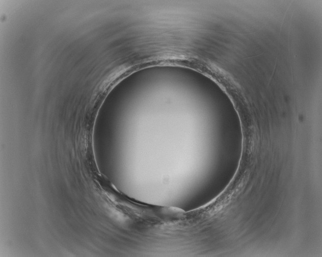 X0000058791169200510031038