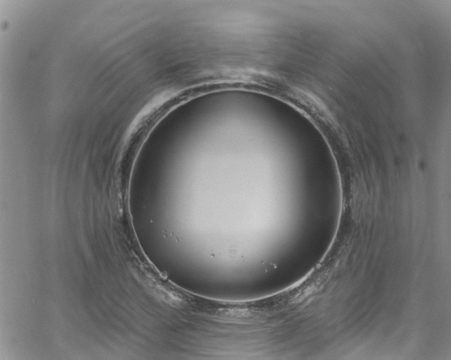 X0000058791172200510031038