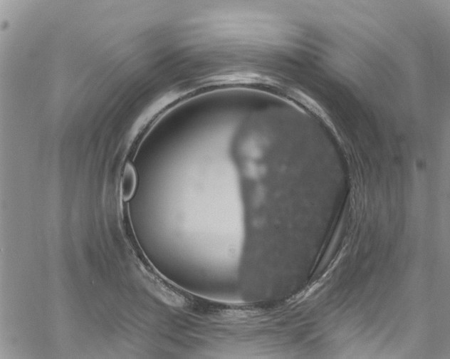 X0000058791179200510031038