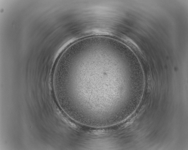 X0000058791182200510031038