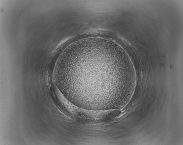 X0000058791206200510031037