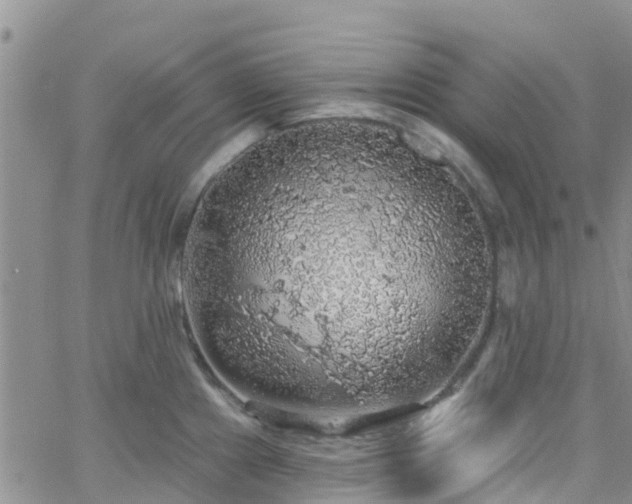 X0000058791241200510031038