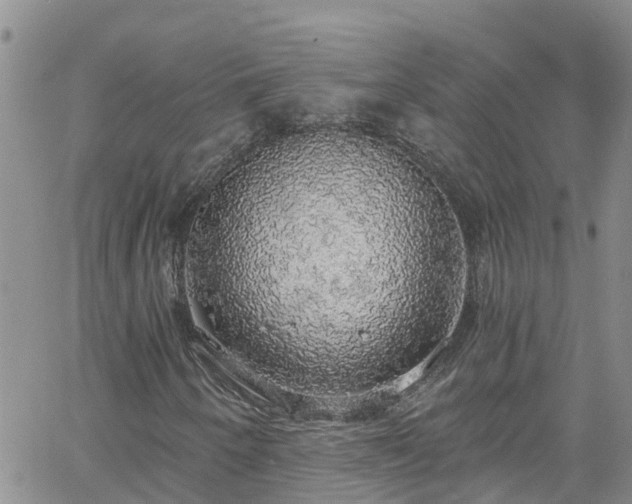 X0000058791250200510031037