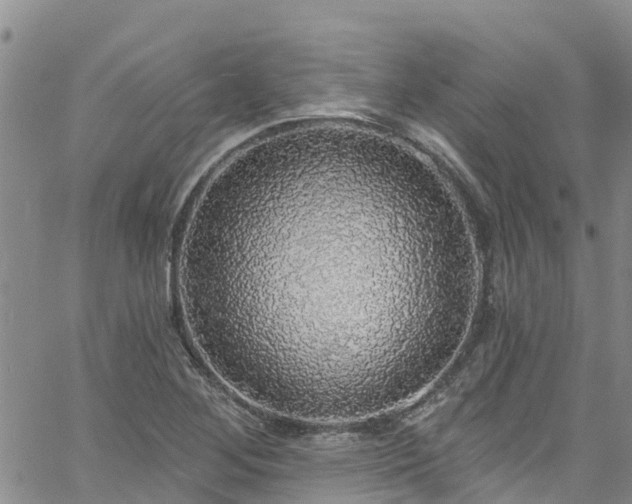 X0000058791268200510031037