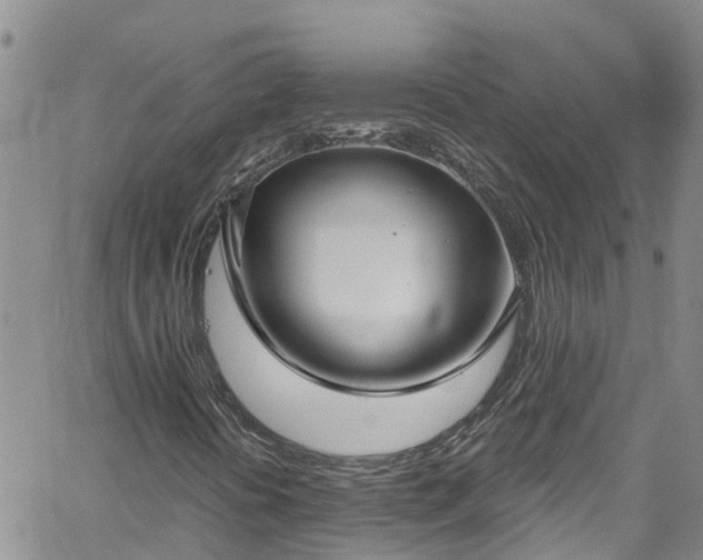 X0000058791394200510031034