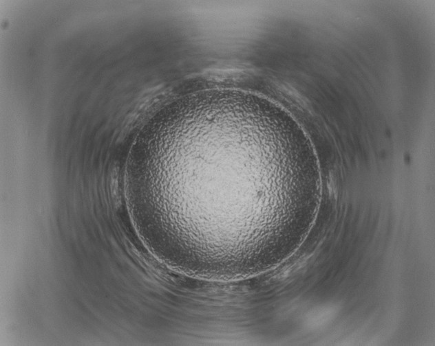 X0000058791396200510031034