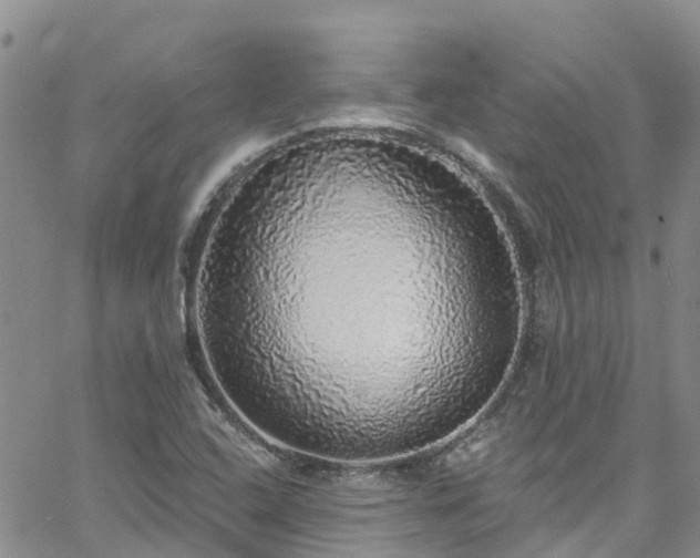 X0000058791408200510031034