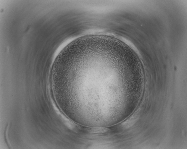 X0000058791440200510031035