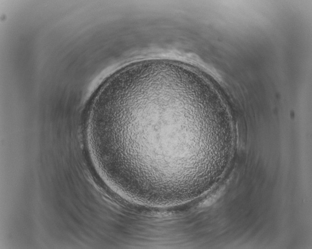 X0000058791501200510031032