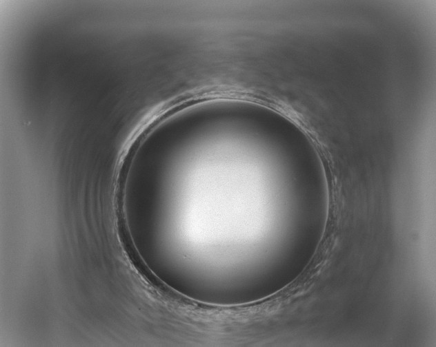 X0000058790007200510071648