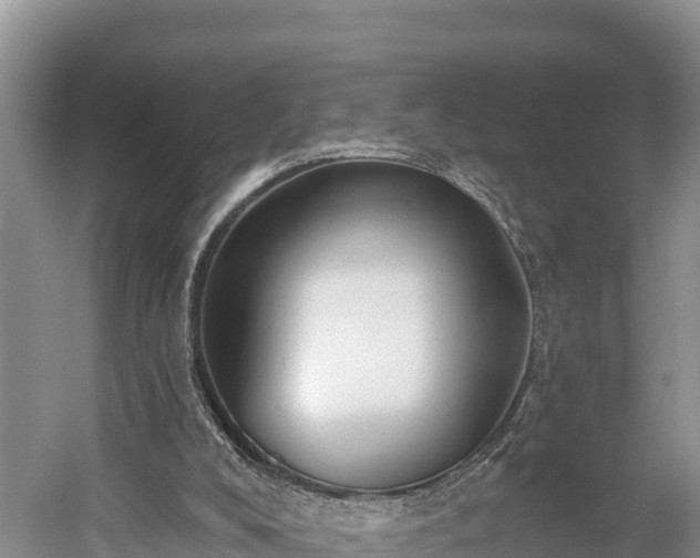 X0000058790008200510071648