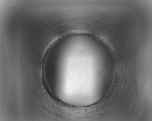 X0000058790015200510071648