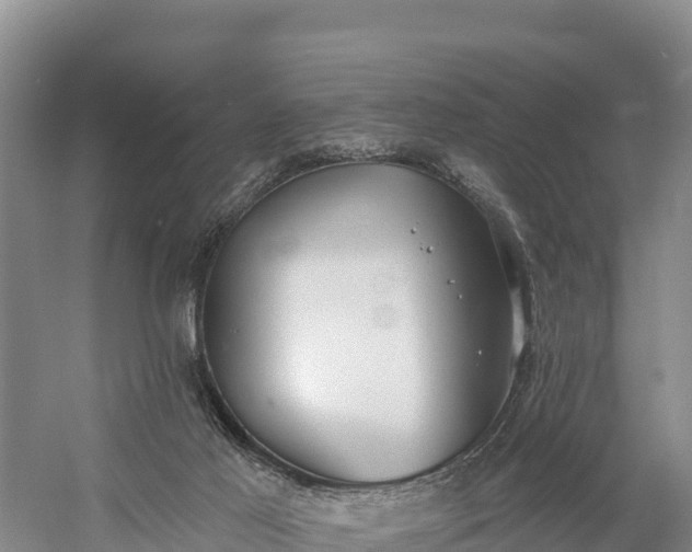 X0000058790021200510071648