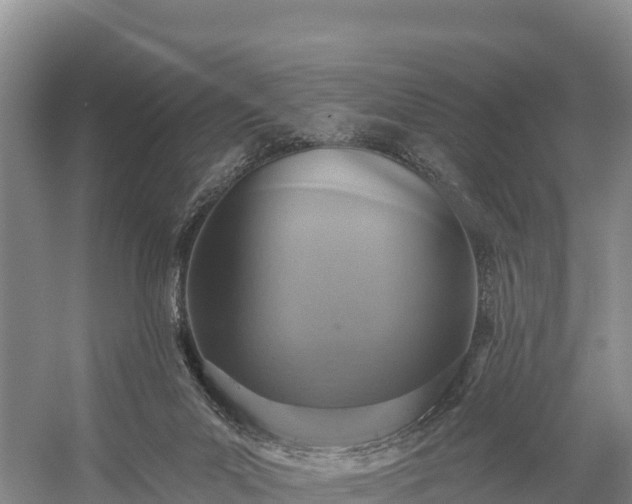 X0000058790023200510071647