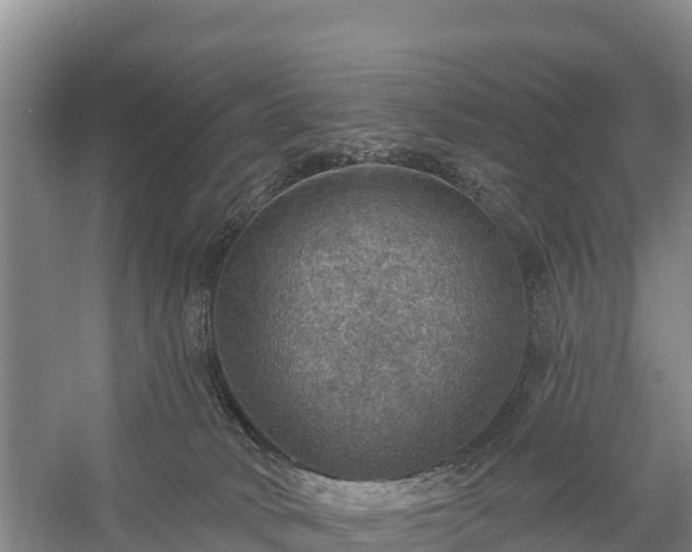 X0000058790034200510071647