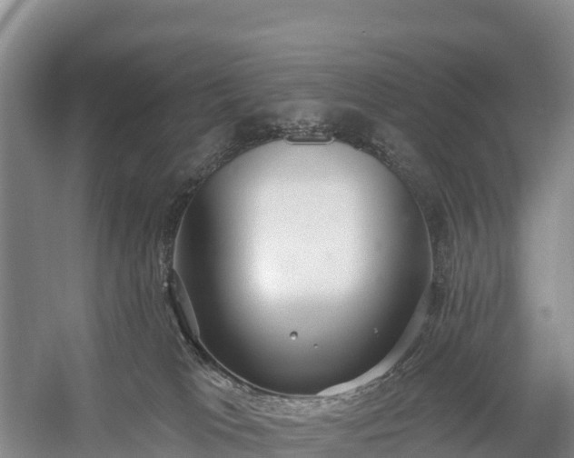 X0000058790037200510071647