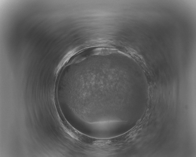 X0000058790051200510071646
