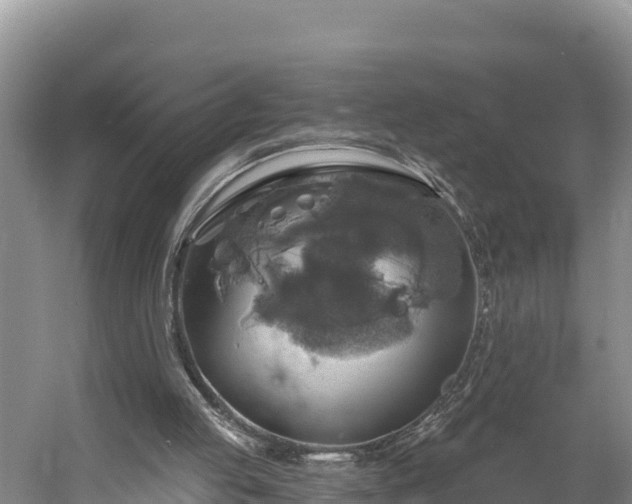 X0000058790053200510071646