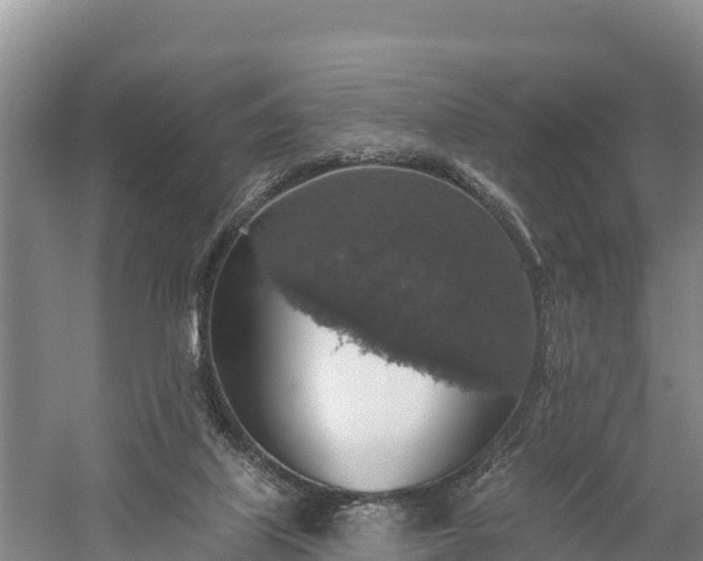 X0000058790067200510071646