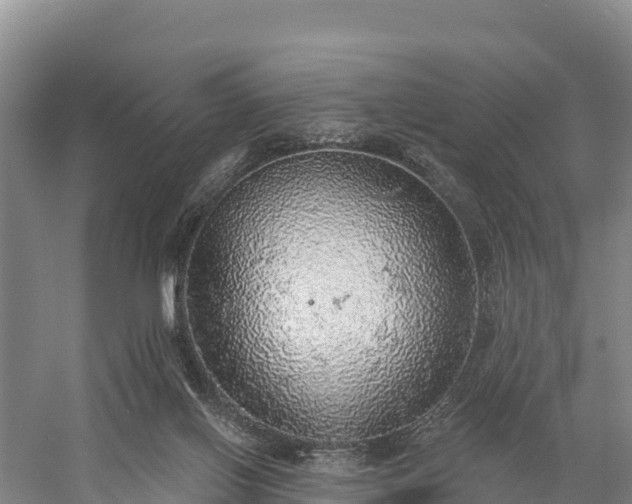 X0000058790070200510071646