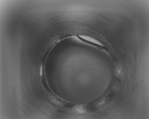 X0000058790076200510071646
