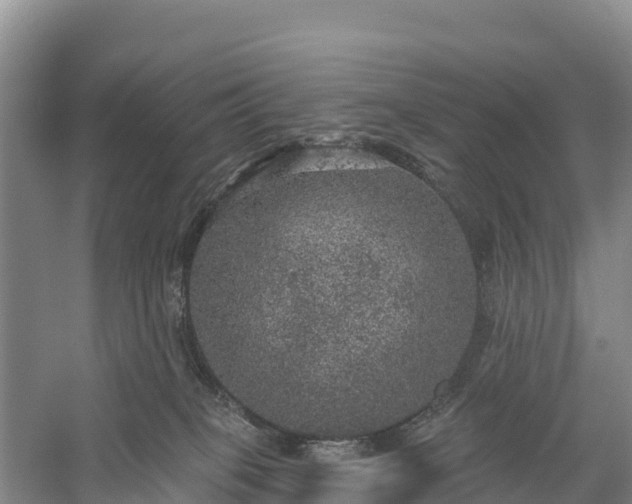 X0000058790085200510071647