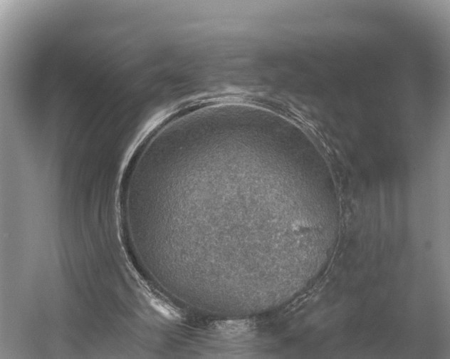 X0000058790102200510071646