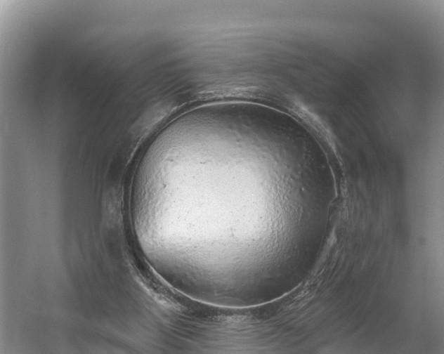 X0000058790107200510071646