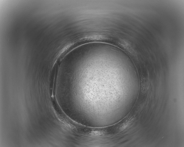 X0000058790111200510071646