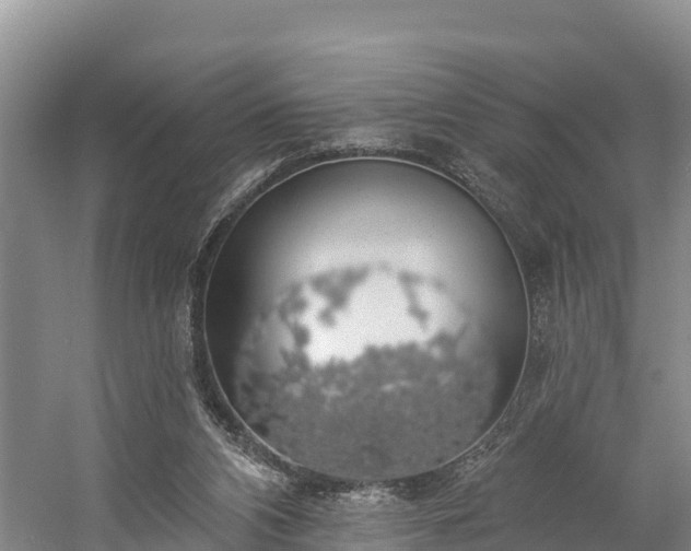 X0000058790112200510071646