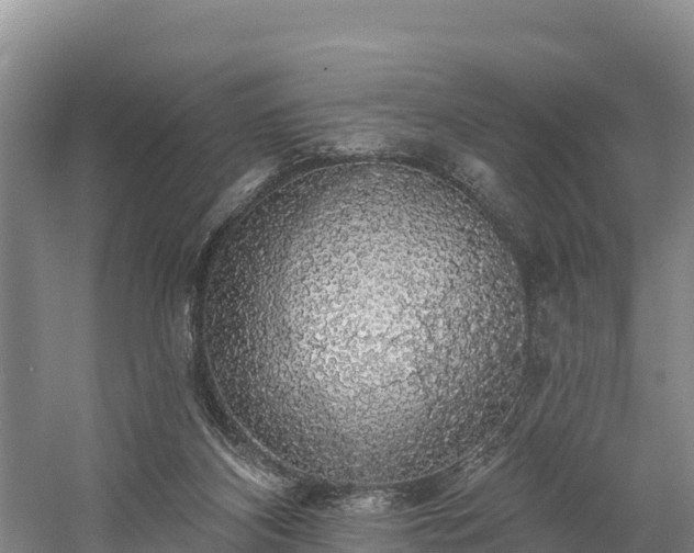 X0000058790116200510071646